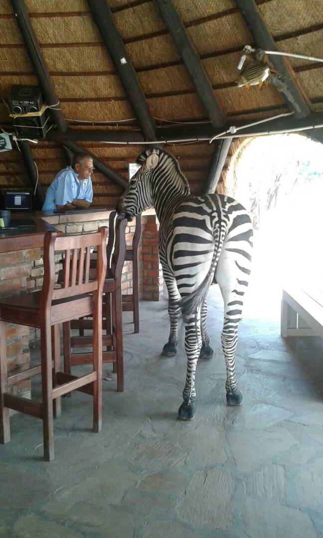 lomagundi jatuli excursion