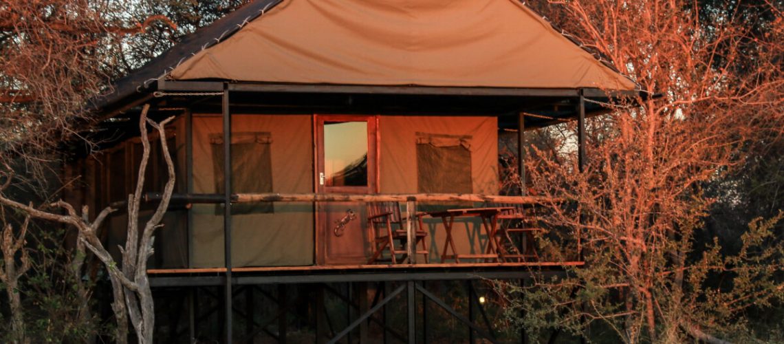 vaardigheid herder Bederven Bomani Tented Lodge - Heartveld Adventures